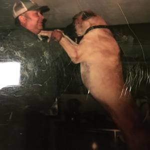 Meet your Posher, Frank